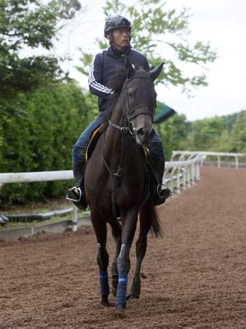 【府中牝馬S】エストゥペンダ ハンデ恵まれた 佐藤助手「直線勝負をしてほしい」舞台も好相性