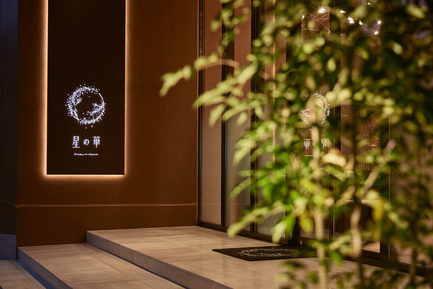 星の華／画像提供：ダイスプロジェクト