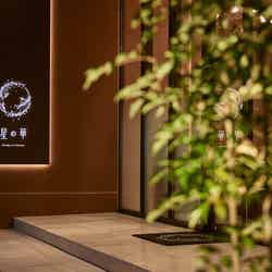 星の華/画像提供:ダイスプロジェクト