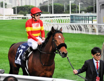 【香港C】ベラジオオペラ 悔し2着 宿敵・ロマンチックウォリアーに一歩およばずも 世界で通用する手応えつかんだ