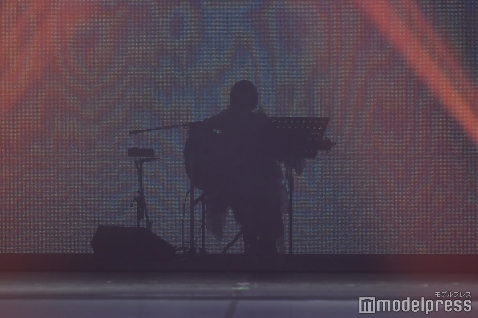 シルエットで登場したりりあ。（C）モデルプレス