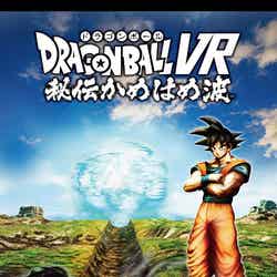 ドラゴンボール VR 秘伝かめはめ波/画像提供:株式会社バンダイナムコエンターテインメント