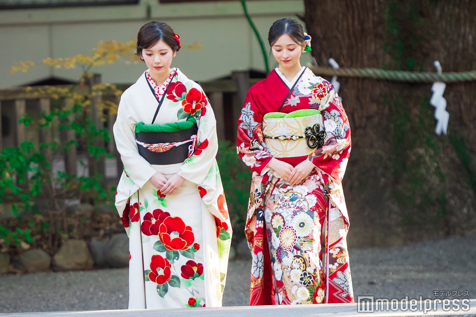 筒井あやめ、井上和／乃木坂46成人式（C）モデルプレス