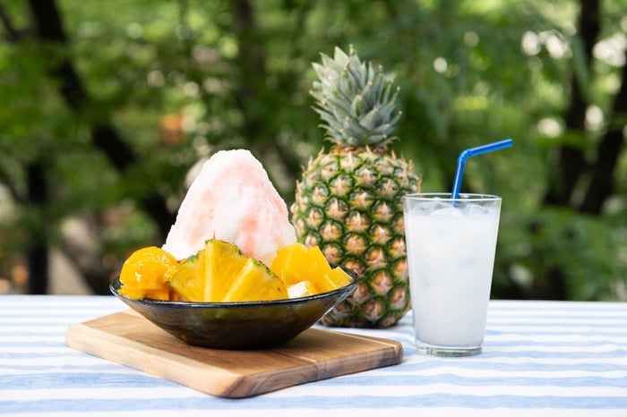 「カルピス」のかき氷 南国トロピカル1,550円(税込)/画像提供:TRANSIT GENERAL OFFICE