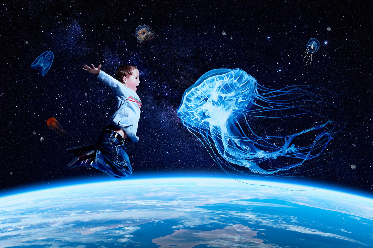 「海月銀河」でクラゲに包まれる浮遊感を体感!海遊館に新クラゲエリアOPEN