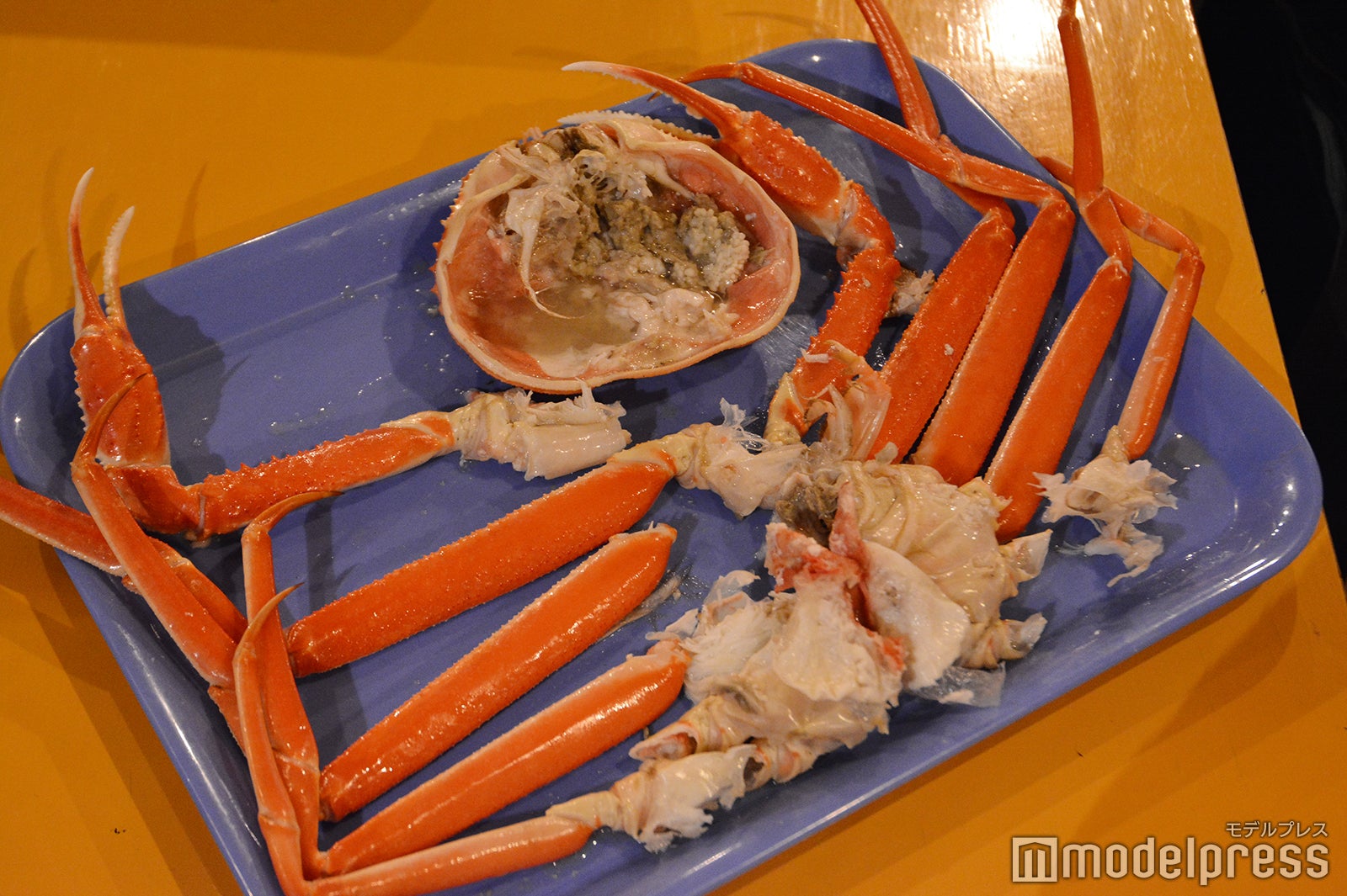 （C）モデルプレス