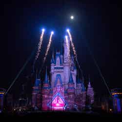 「Celebrate！Tokyo Disneyland」（C）Disney