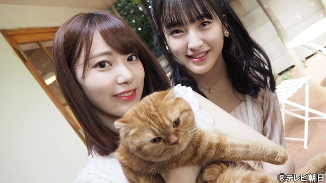 上白石萌音 大物俳優tに 撮影中に困らさられた と暴露するも本人から反撃喰らう モデルプレス