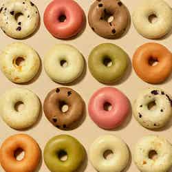 ベーグルカフェ「JUNO」東京・自由が丘にオープン 野菜を使ったデリメニューも/画像提供:ジュノエスク株式会社