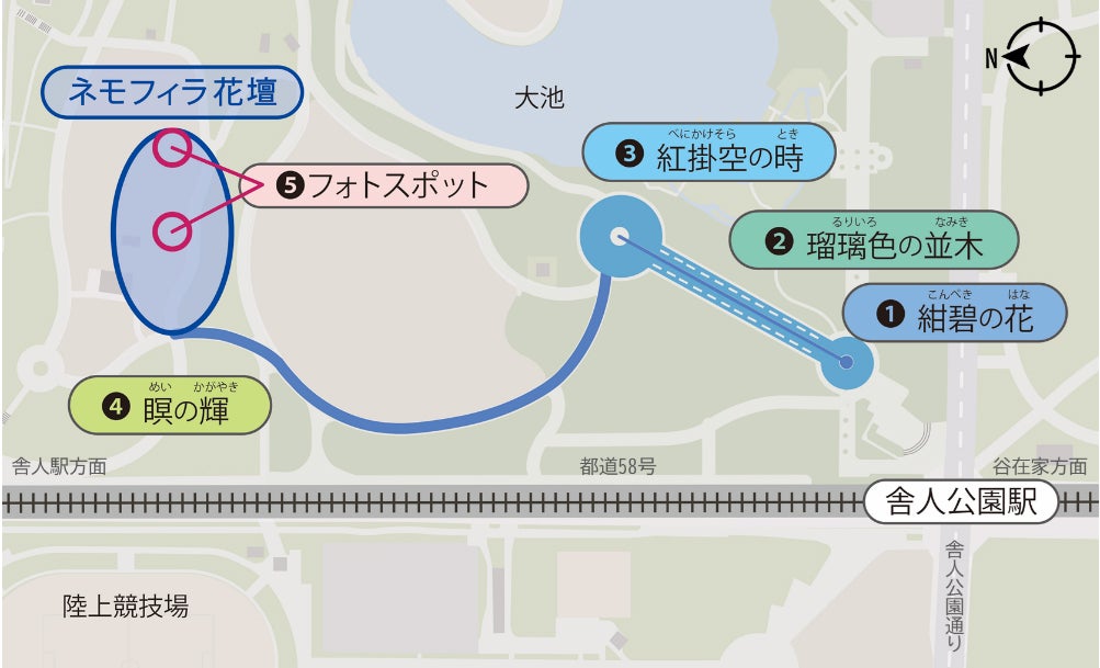 花と光のムーブメント／提供画像花と光のムーブメント／提供画像花と光のムーブメント／提供画像