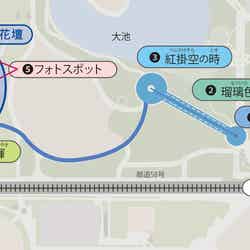 花と光のムーブメント/提供画像花と光のムーブメント/提供画像花と光のムーブメント/提供画像