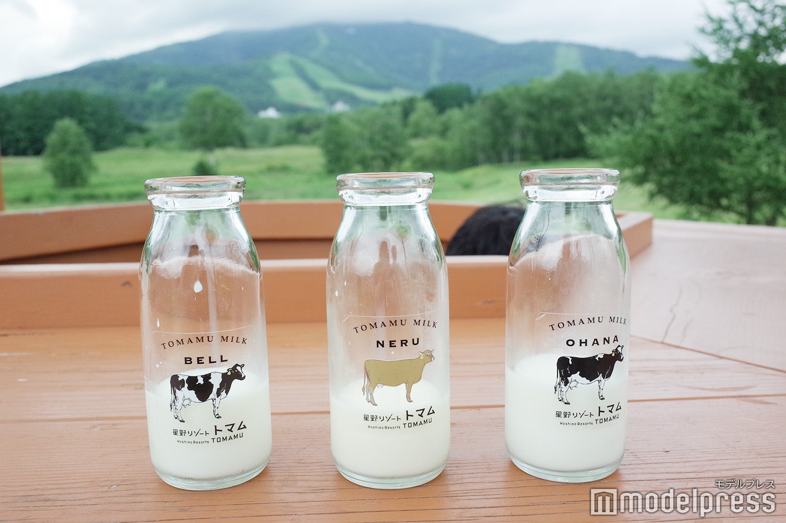 星野リゾート　トマム（C）モデルプレス