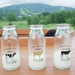 星野リゾート トマム(C)モデルプレス