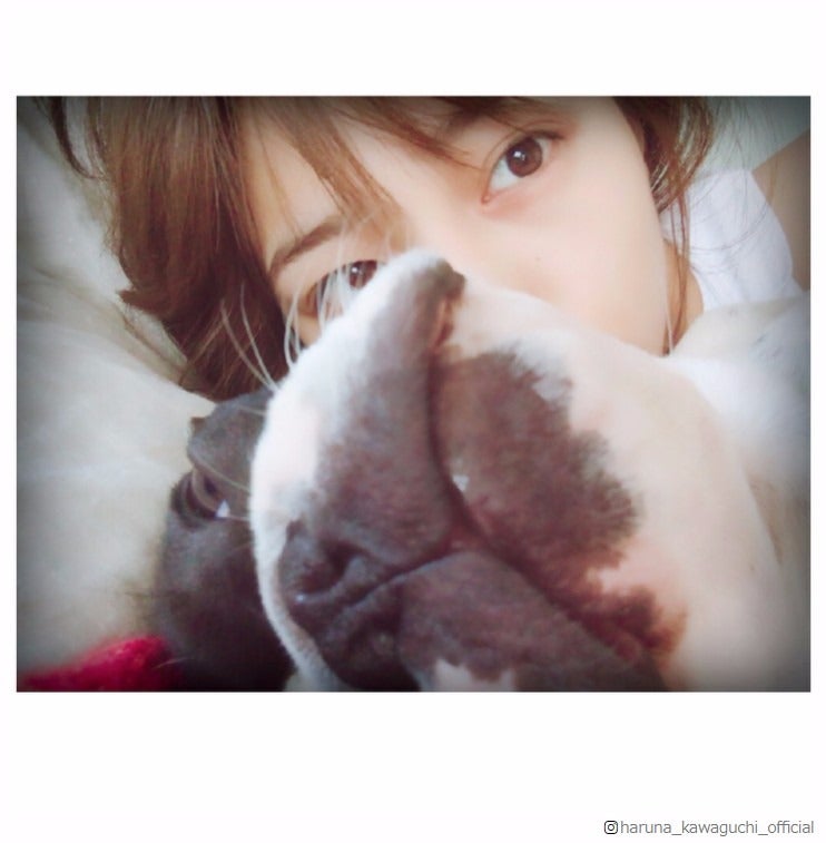 川口春奈、添い寝ショットにファン悶絶「天使」「癒された！」