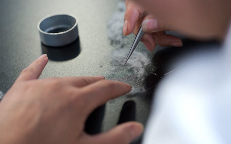 顕微鏡で隅々までチェック