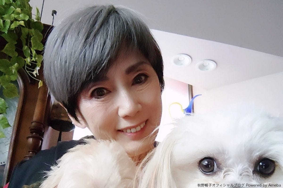秋野暢子