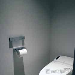 グランドメルキュール八ヶ岳リゾート&スパ※スーペリアルームでも洗面台・トイレ別でないユニットバスの客室もあり(C)モデルプレス