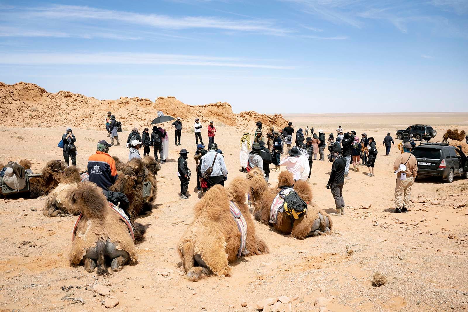 モンゴル風景（提供写真）