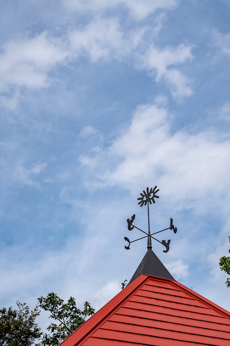 どんどこ森（C）Studio Ghibli