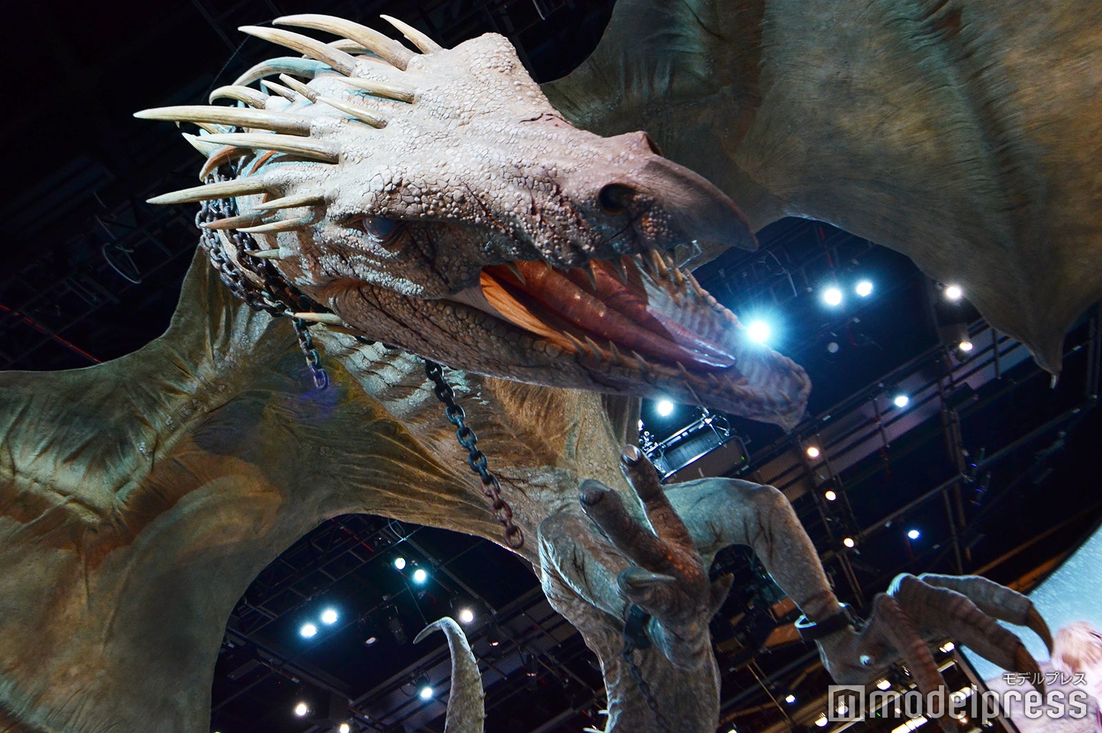 ワーナー ブラザース スタジオツアーロンドン -メイキング・オブ・ハリー・ポッター（C）モデルプレス Warner Bros. Studio Tour London – The Making of Harry Potter