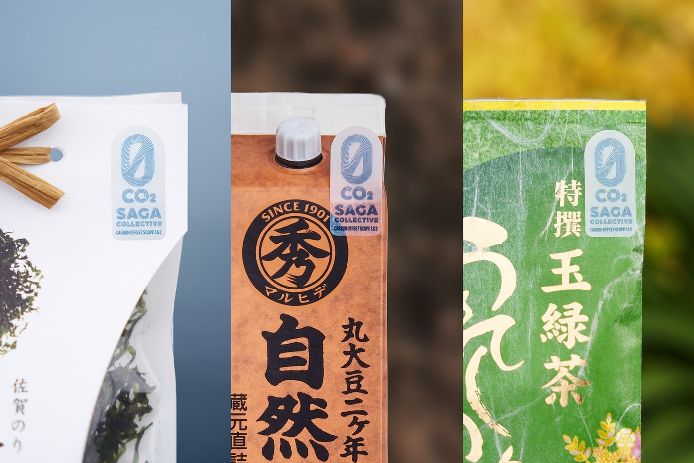 SAGA COLLECTIVE/提供画像