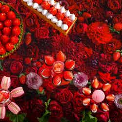 スーパースイーツビュッフェ2026 ~ホテルでいちご狩り~(提供写真)