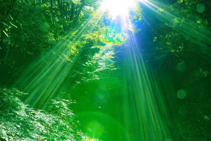 glampark 赤沢温泉/画像提供:ブッキングリゾート