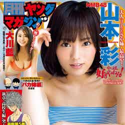 「月刊ヤングマガジン」11号（表紙：山本彩）（C）LUCKMAN／画像提供「月刊ヤングマガジン」