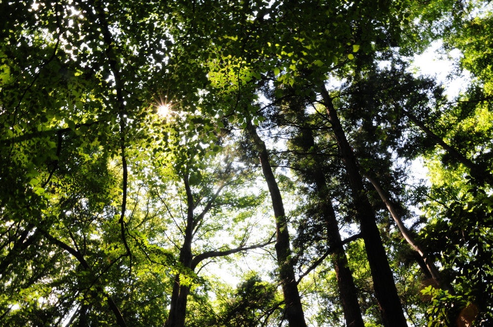 妙音沢（提供画像）