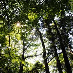 妙音沢(提供画像)