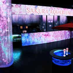 花灯/画像提供:株式会社 横浜八景島