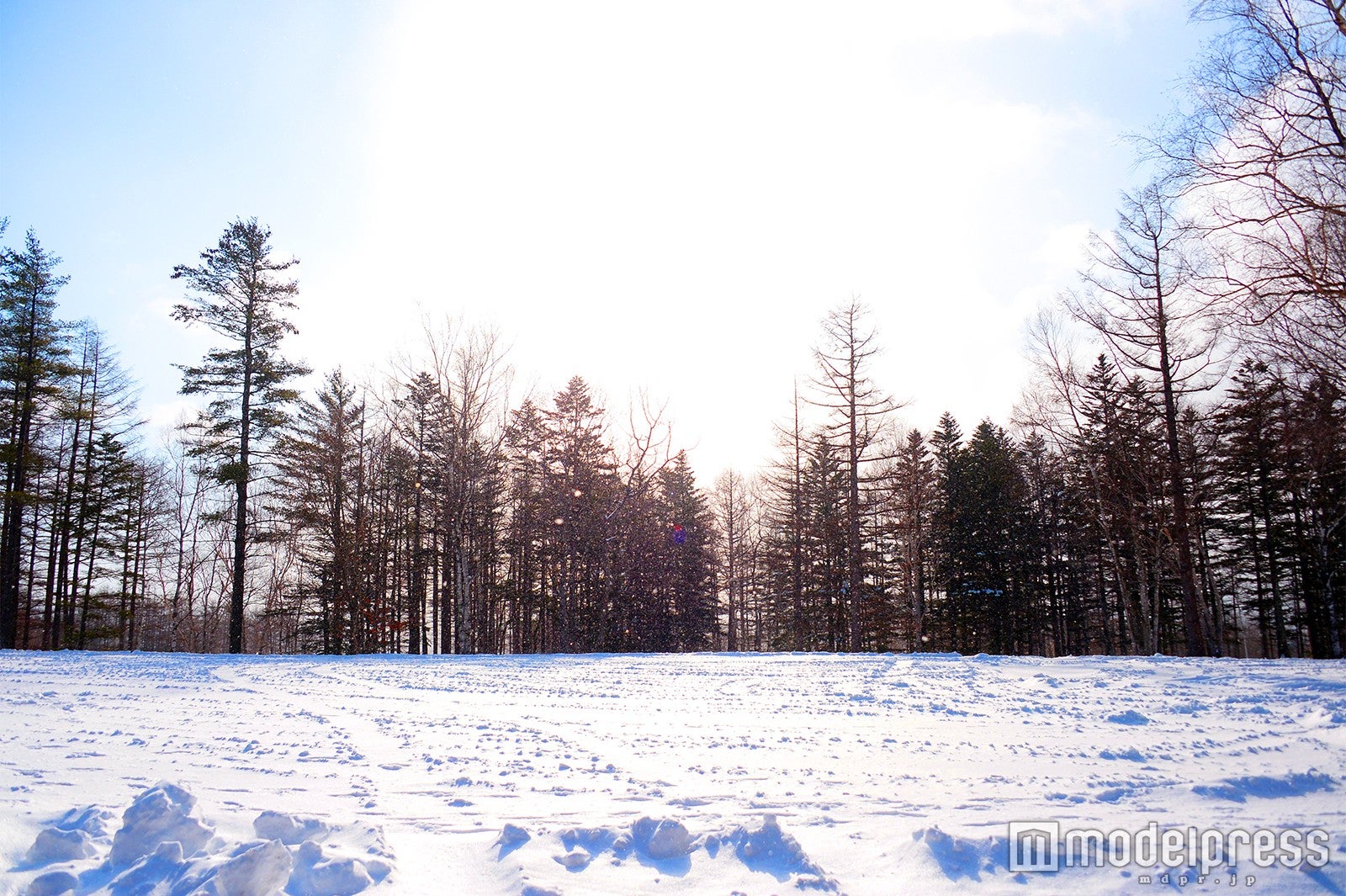 冬はさらさらの雪が降り積もる（C）モデルプレス