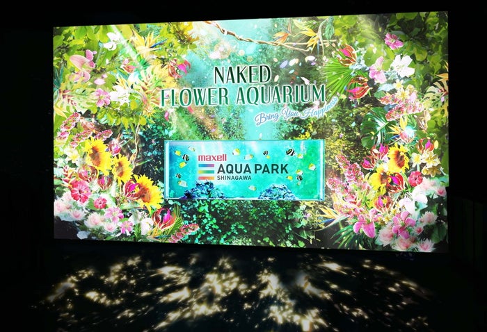 マクセルアクアパーク品川で フラワーアクアリウム 花 光 海の世界が調和する 初夏の絶景 女子旅プレス マクセルアクアパーク品川で フラワーアクアリウム 花 光 海の世界が調和する 初夏の絶景 女子旅プレス