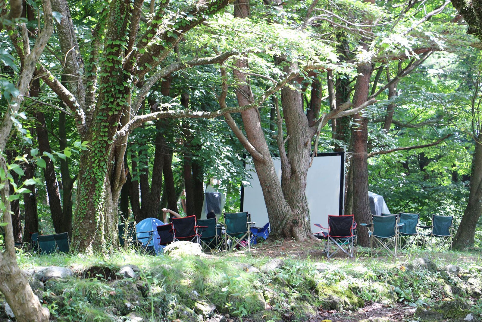 星空の下で映画鑑賞「湖畔の映画祭」　DJ音楽イベントやBBQで丸1日遊び尽くす