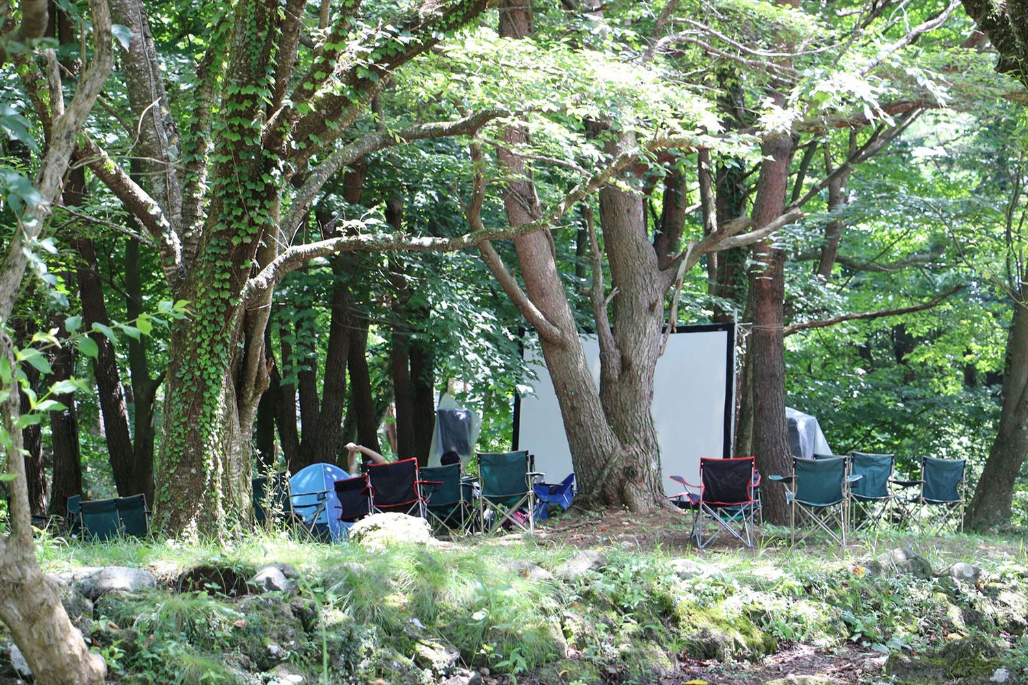 星空の下で映画鑑賞「湖畔の映画祭」 DJ音楽イベントやBBQで丸1日遊び尽くす