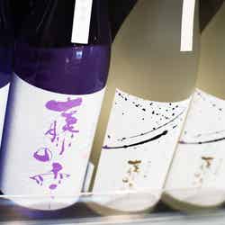 アクアイグニス仙台/画像提供:仙台reborn