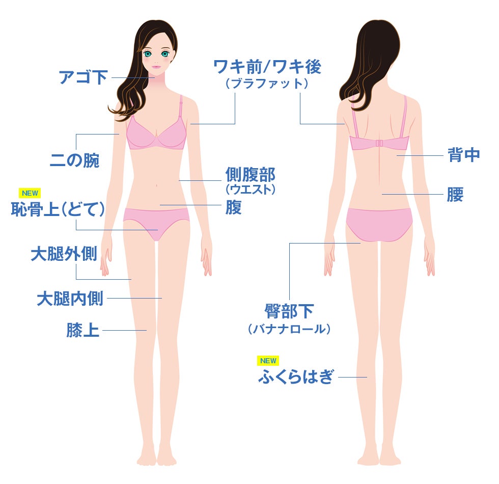 クールスカルプティング適応部位