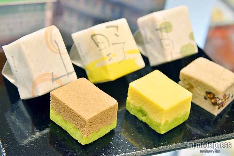 「柴舟小出」の「山野草」