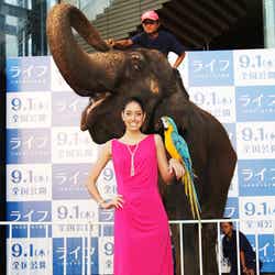 森泉(C) BBC Worldwide Limited 2011