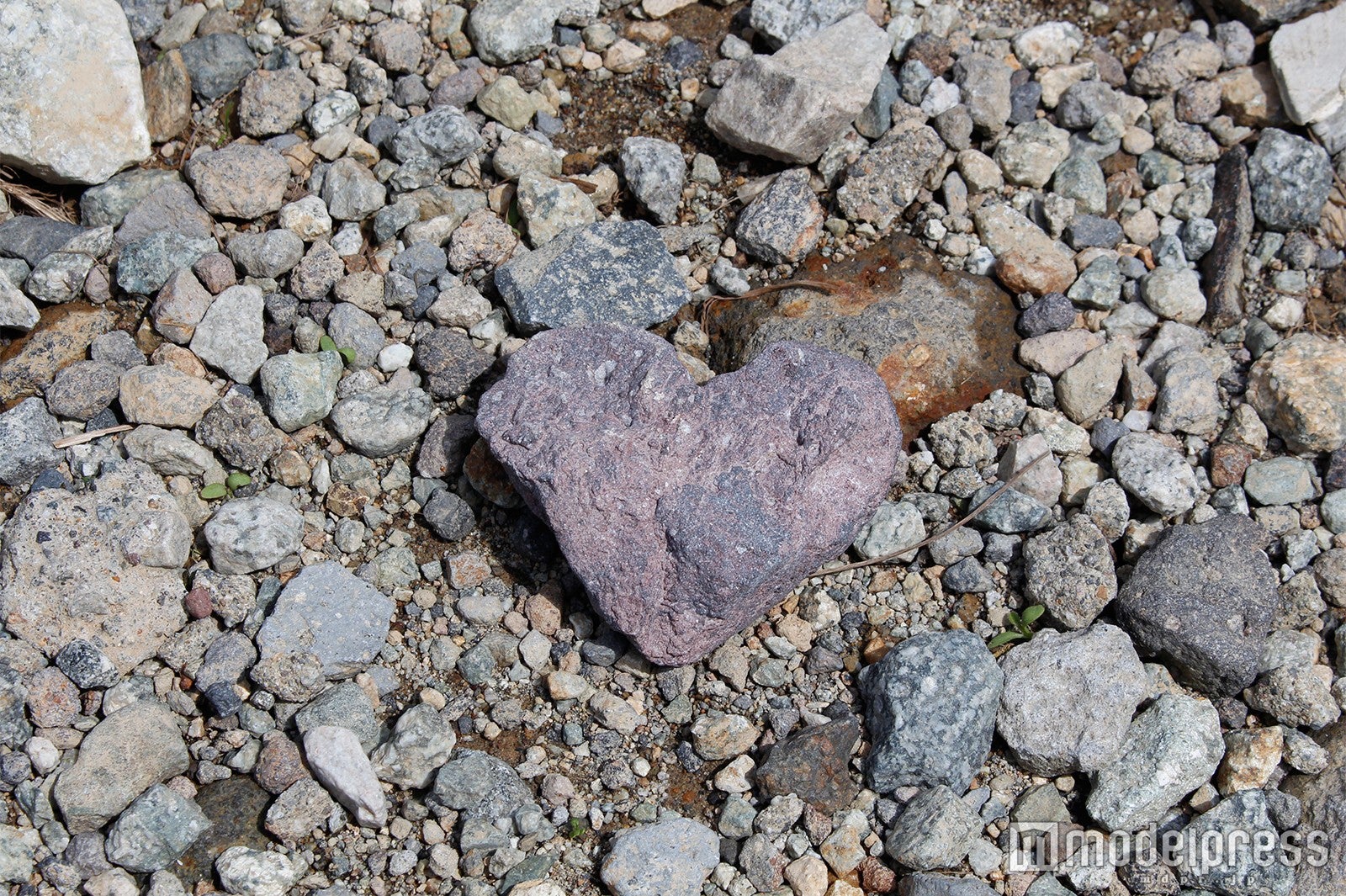 ハート型の石（C）モデルプレス
