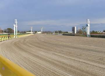 複勝で東京競馬史上最高払戻金1万1690円 東京3Rで単勝795.4倍も16番人気馬が3着