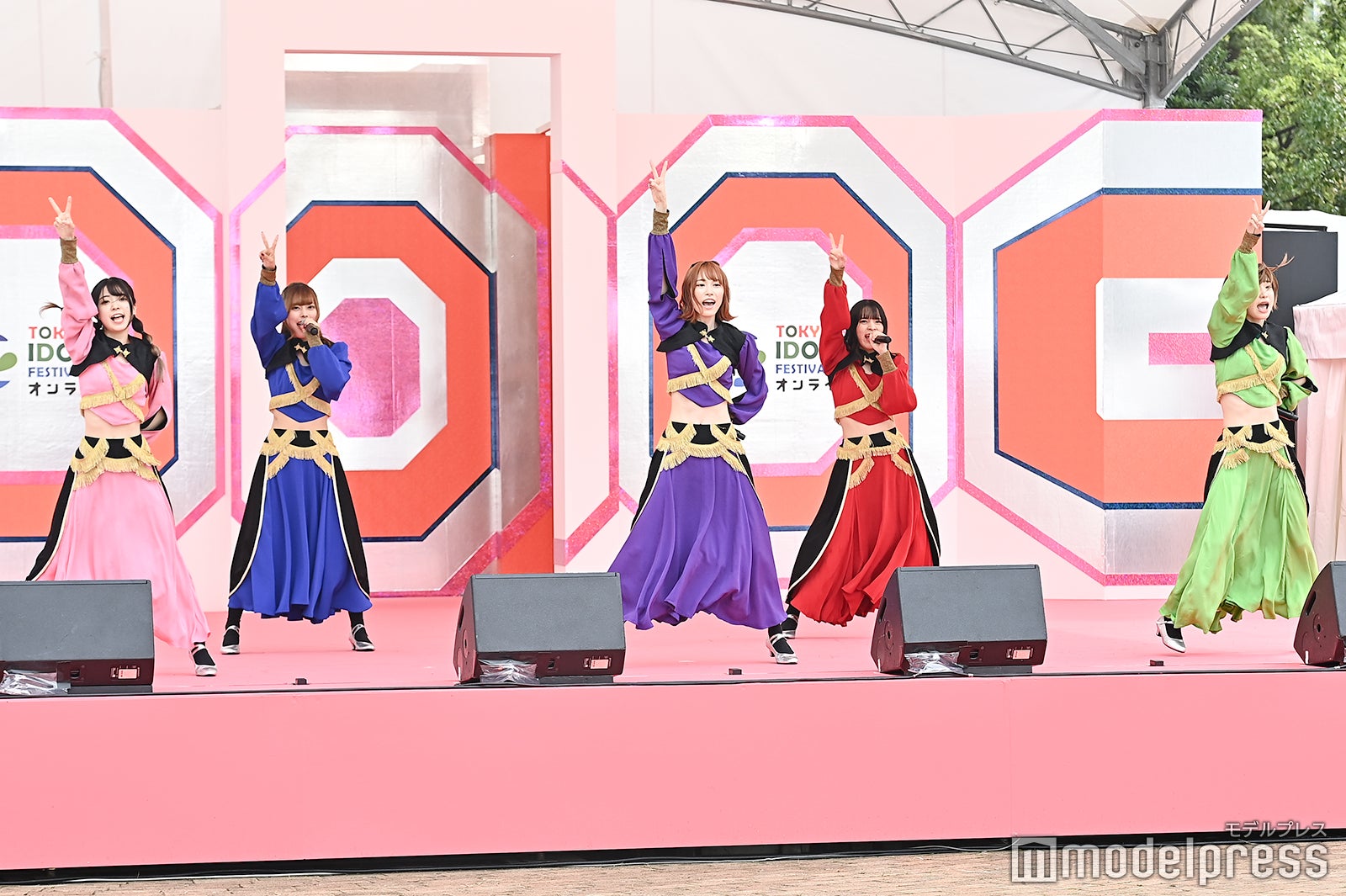 豆柴の大群（C）モデルプレス