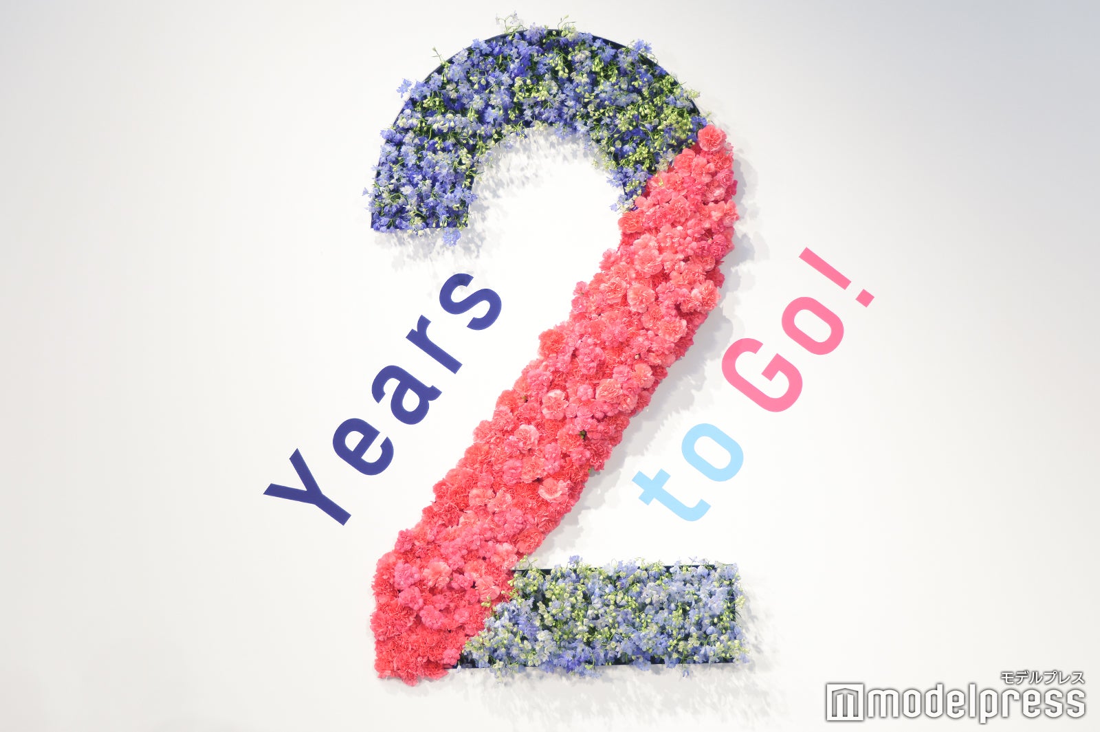 フラワーオブジェ （C）モデルプレス