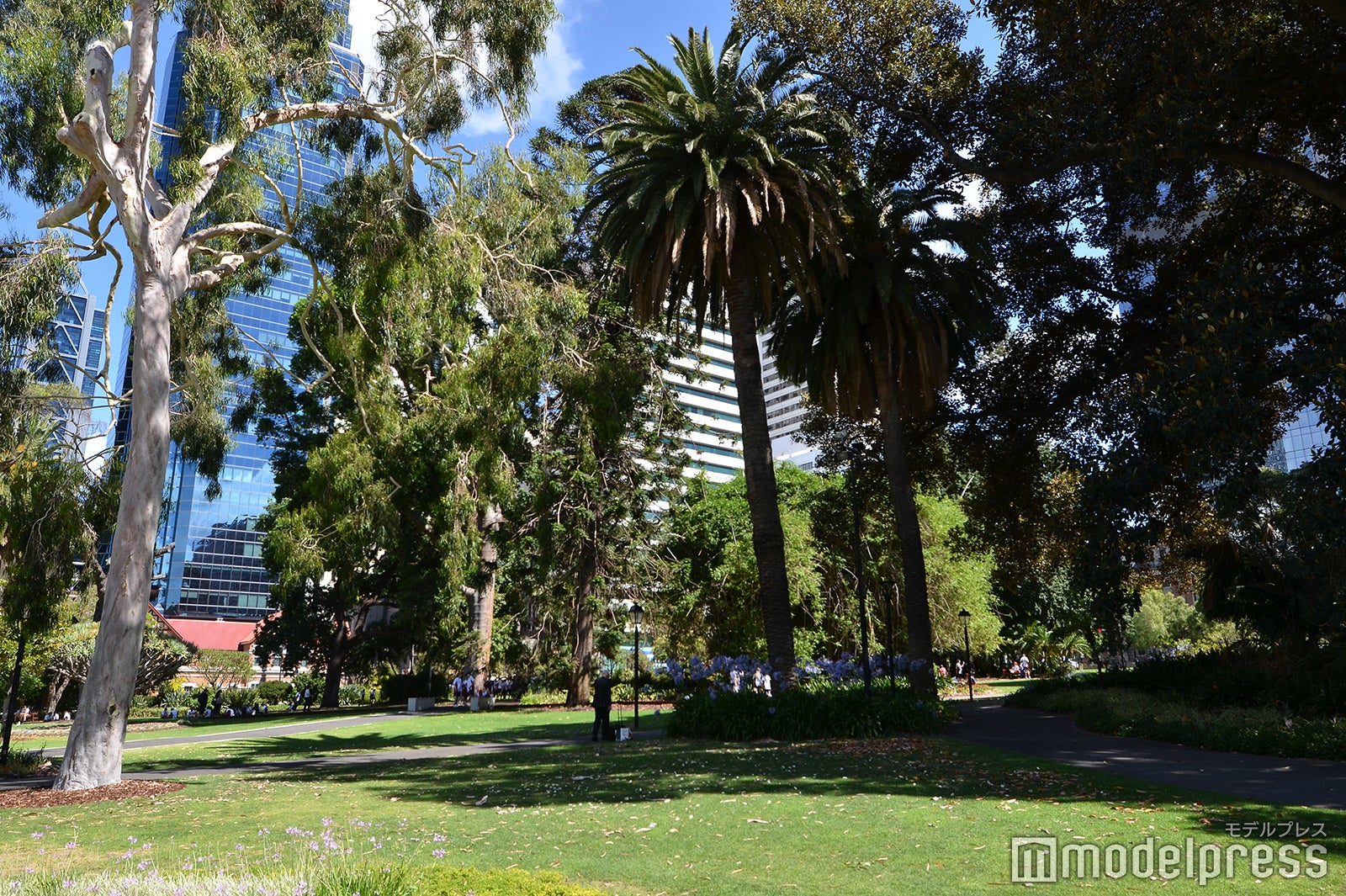 パース（C）モデルプレス