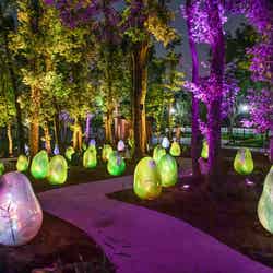 東所沢公園内の「武蔵野樹林パーク」にて展示中(C)武蔵野樹林パーク