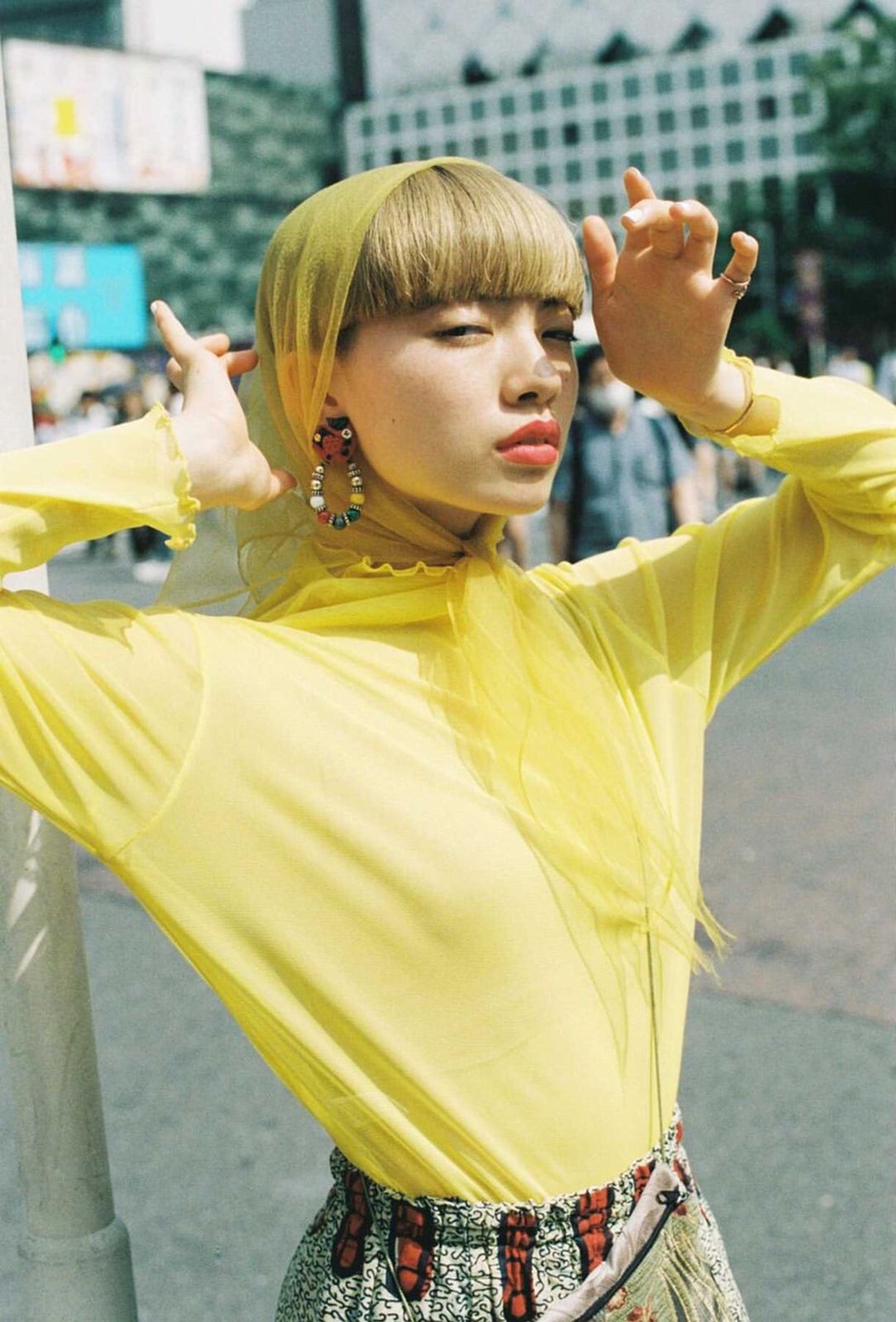 アオイヤマダ （提供写真）