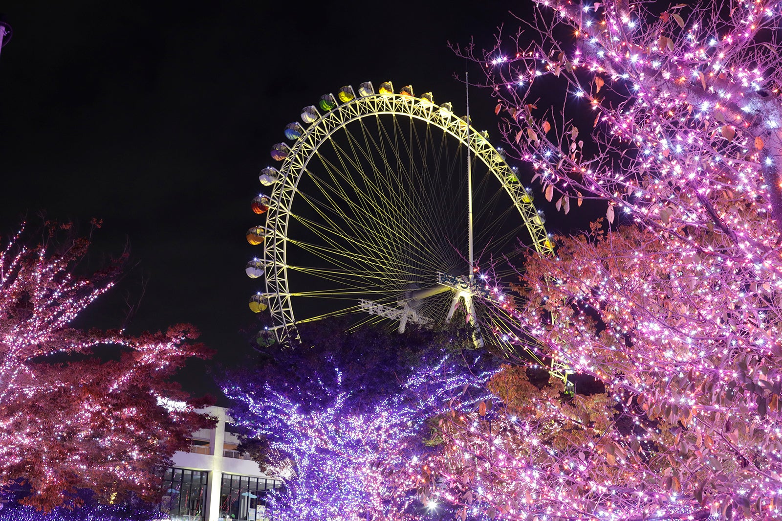 よみうりランド ジュエルミネーション／画像提供：よみうりランド