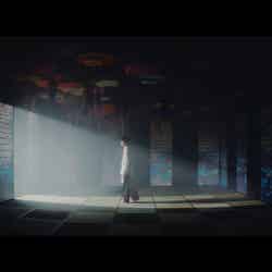 Aimer「朝が来る」MVより （提供写真）