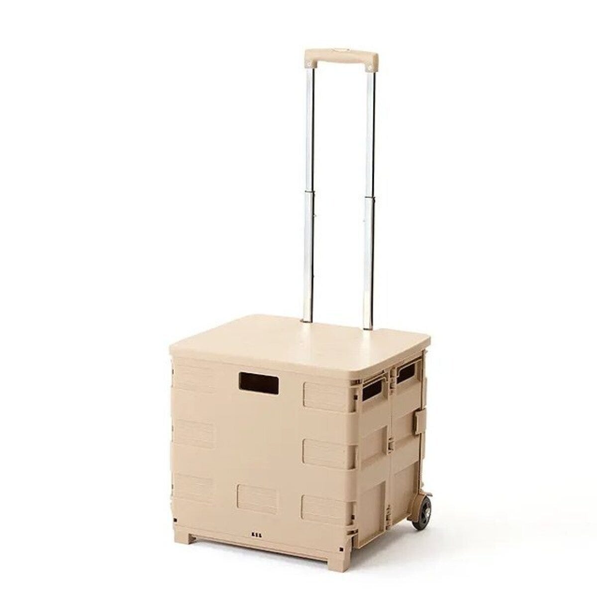 カインズ　人気商品　カインズ