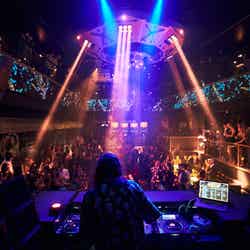 Zouk Tokyo/提供画像